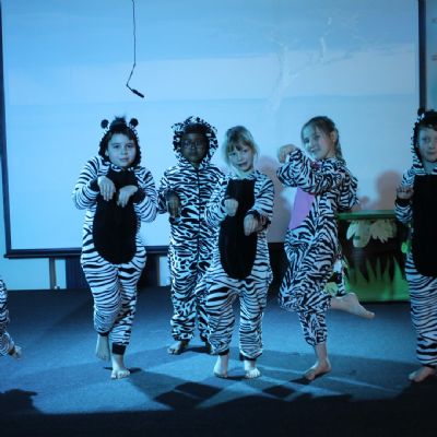 ZebrasLarge)
